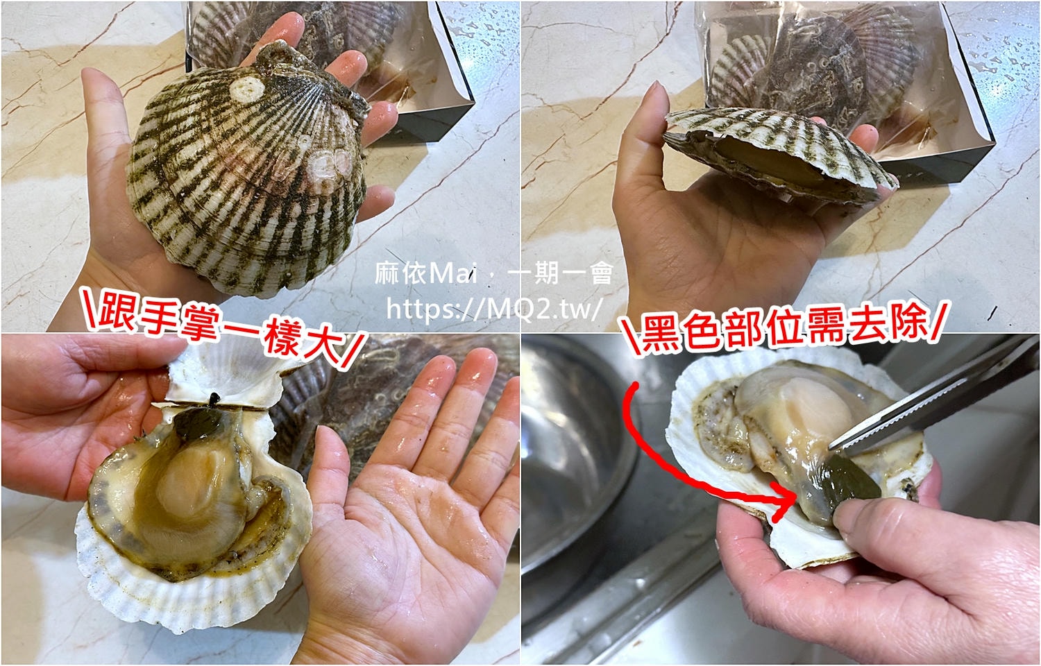魚有王X姐夫嚴選:3款必吃頂級美味海鮮推薦,日本北海道扇貝、帆立貝XO醬、鮪魚鳳尾丁 - 第8張圖 魚有王X姐夫嚴選:3款必吃頂級美味海鮮推薦,日本北海道扇貝、帆立貝XO醬、鮪魚鳳尾丁