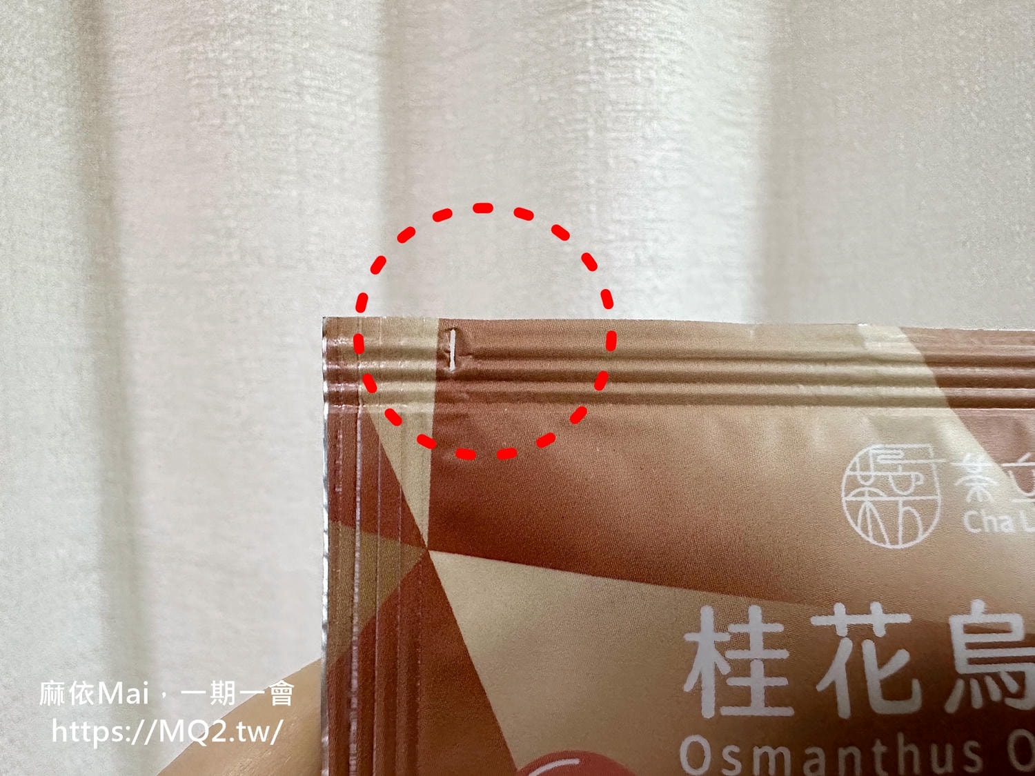 茶立方